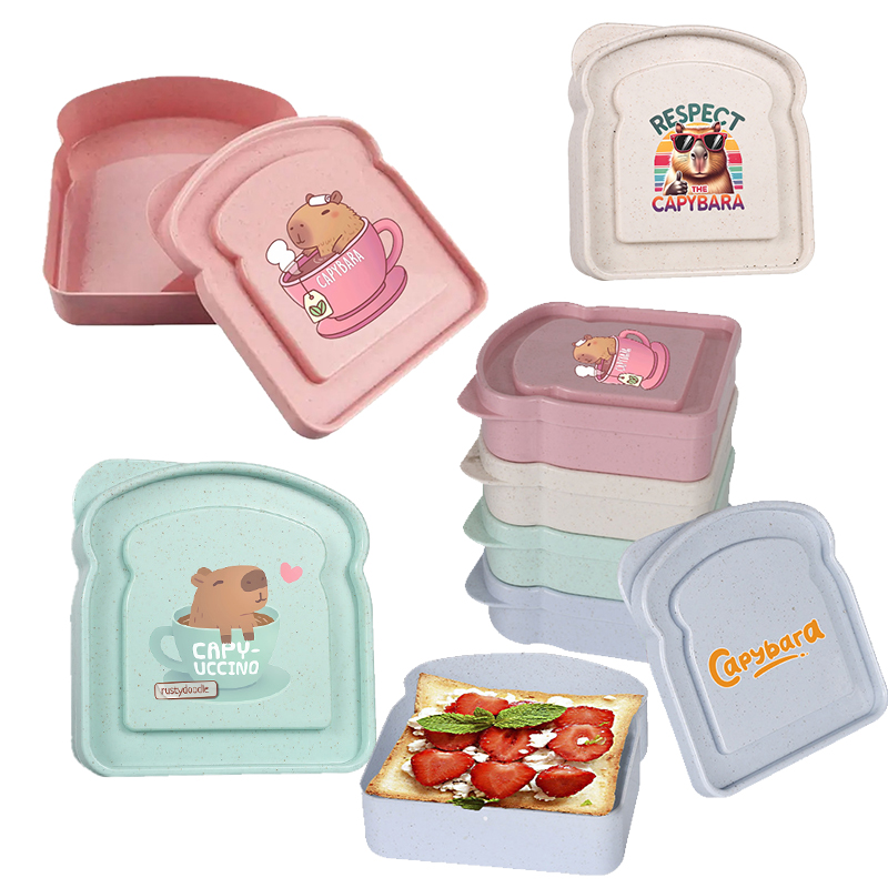 카피바라 샌드위치 음식 보관 케이스 컨테이너 샐러드 과 - Food Storage Meals 리뷰 및 가격