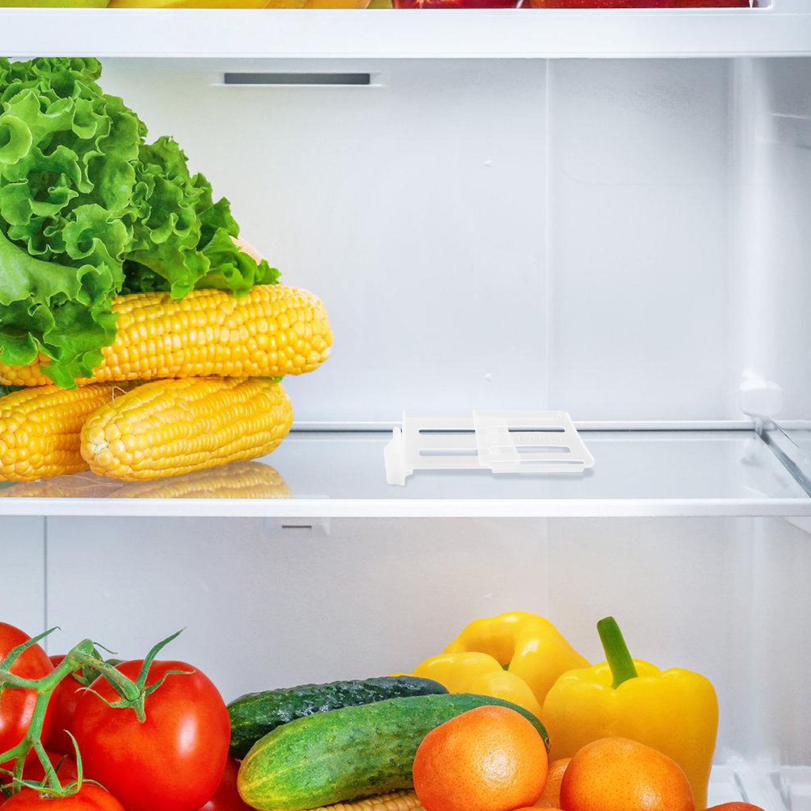 8개입 냉장고 측면 도어 분리대 교체 가능한 가정용 냉 - Food Storage With Dividers 리뷰 및 가격